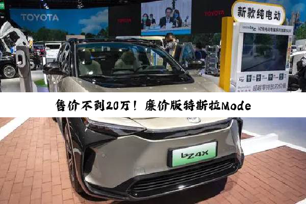 售价不到20万！廉价版特斯拉Model Y曝光