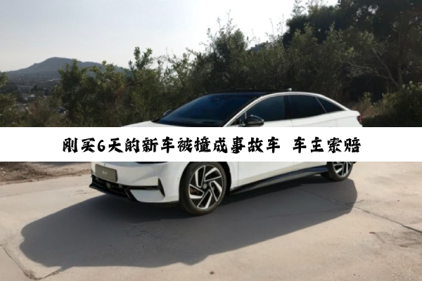 刚买6天的新车被撞成事故车 车主索赔3万元贬值损失合理吗