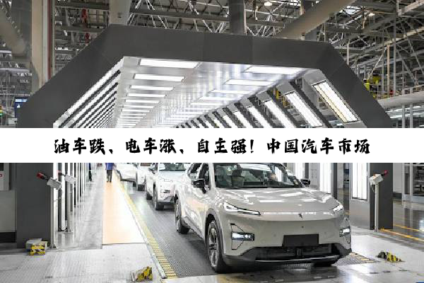 油车跌、电车涨、自主强！中国汽车市场变天了