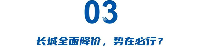 少赚45.6%后,全新高山低价冲量!魏建军终于醒悟,高价打不了持久战