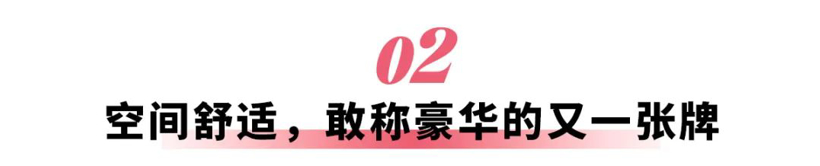 价格一步到位,但星耀8的“狠招”不止于此