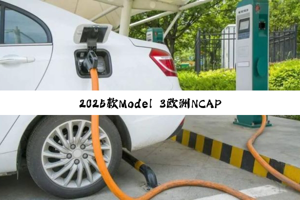 2025款Model 3欧洲NCAP测试成绩公布：五星
