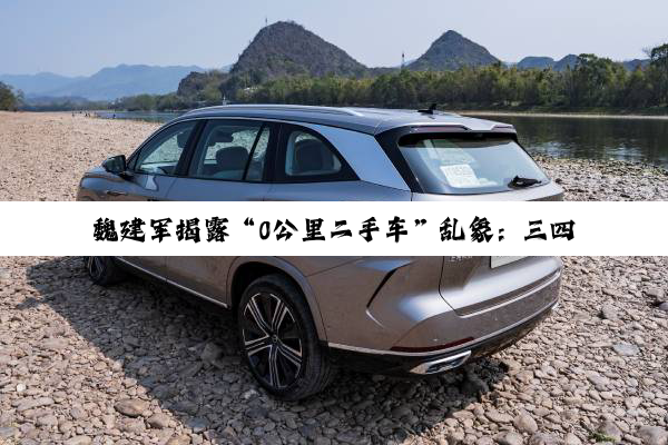 魏建军揭露“0公里二手车”乱象：三四千家都在卖