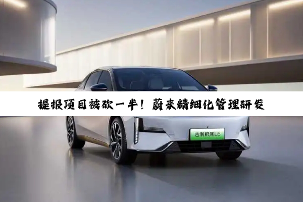 提报项目被砍一半！蔚来精细化管理研发投入 非必要研发不予立项