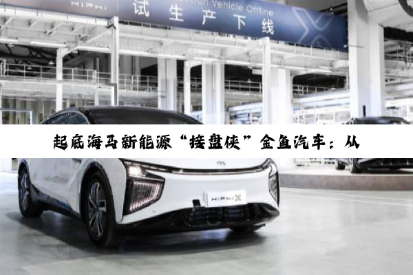 起底海马新能源“接盘侠”金鱼汽车：从A00级小车到“保时捷911”