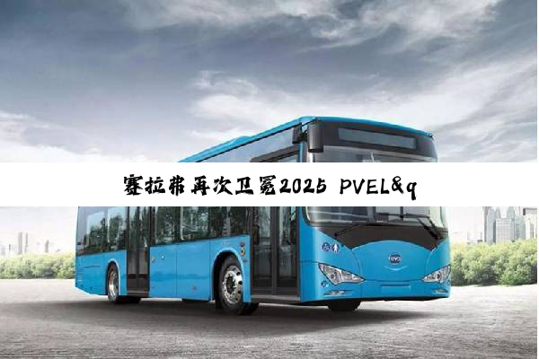 赛拉弗再次卫冕2025 PVEL"最佳表现"组件供应商