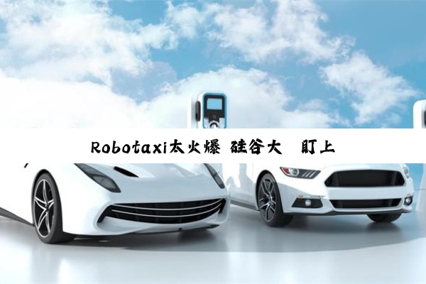 Robotaxi太火爆 硅谷大佬盯上中国无人车分公司