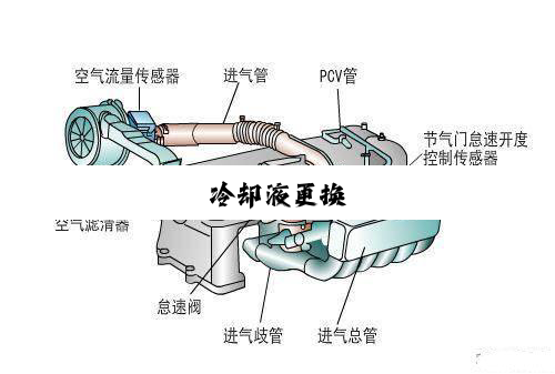 冷却液更换