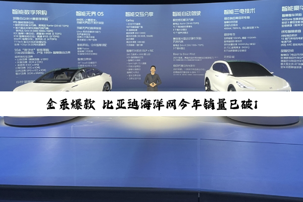 全系爆款 比亚迪海洋网今年销量已破100万辆