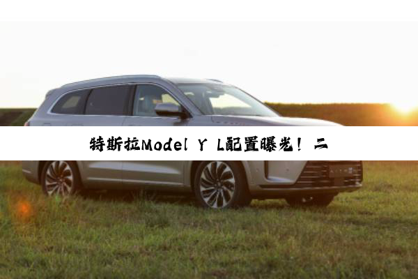 特斯拉Model Y L配置曝光！二排独立座椅可放平 支持前后移动