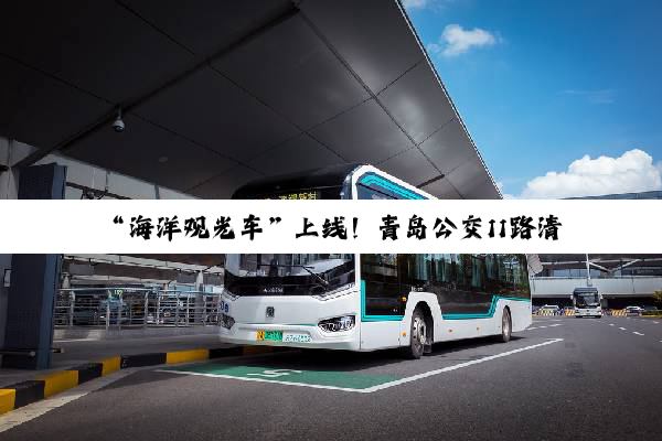 “海洋观光车”上线！青岛公交11路清凉启航