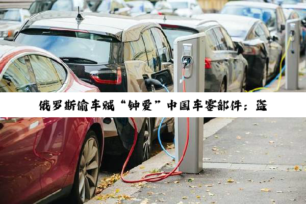 俄罗斯偷车贼“钟爱”中国车零部件：盗窃案25%专挑中国车